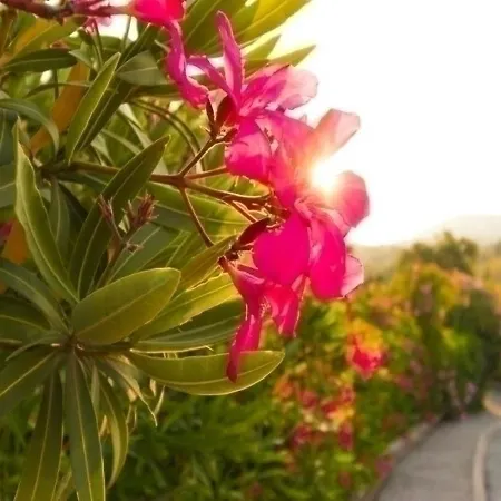Agay Plage Apartamento *